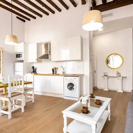 Buganvilla * Màlaga