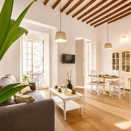 Buganvilla * Màlaga